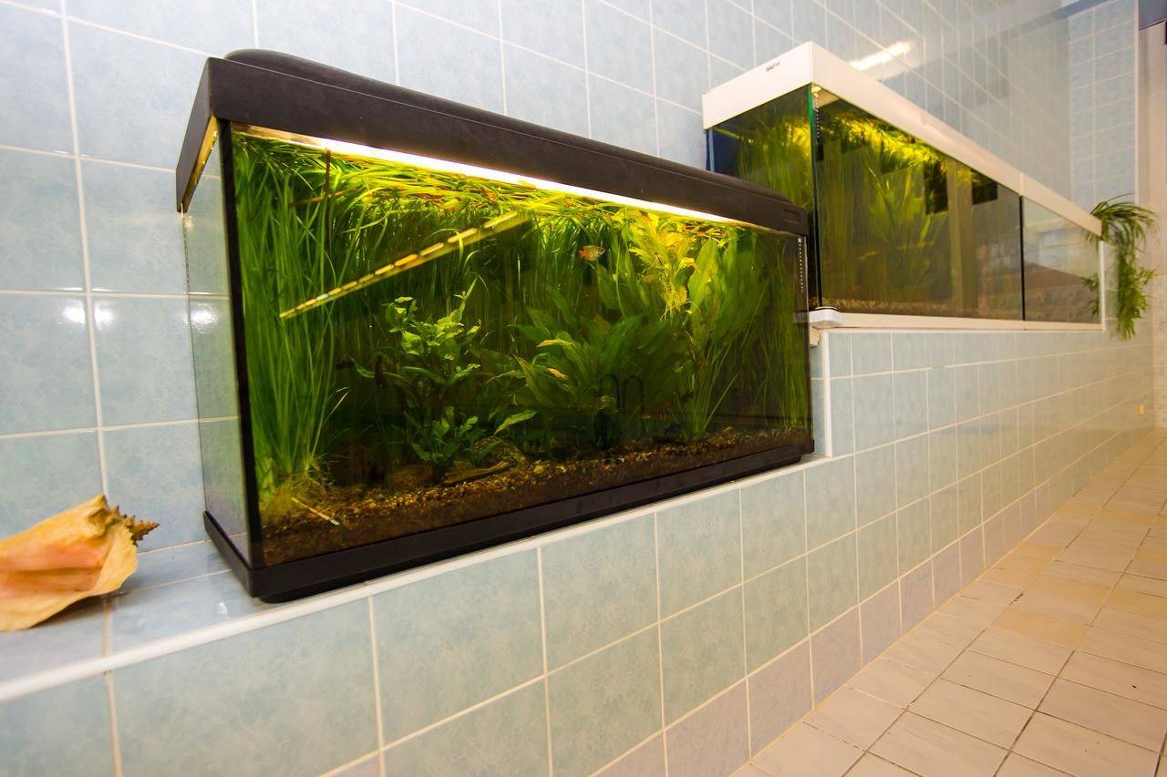 Фото Санатория Санаторий Белоруссия Юрмала 30